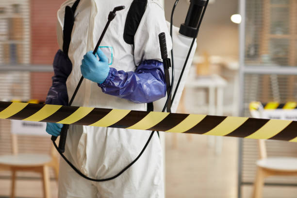 Professional Odor Removal technician working in Canehill, AR